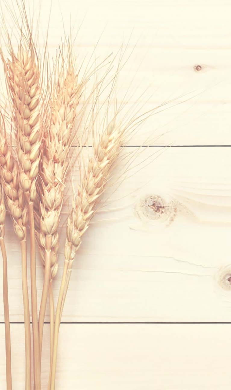 wheat on pine board