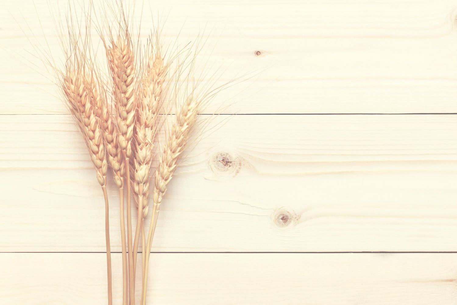 wheat on pine board